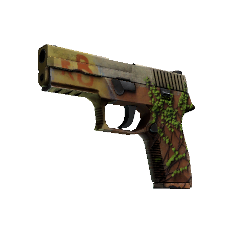 P250(StatTrak™) | 炼狱小镇 (破损不堪)