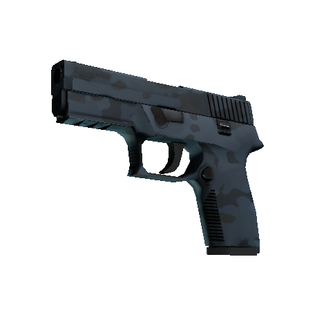 P250 | 暮色森林 (崭新出厂)