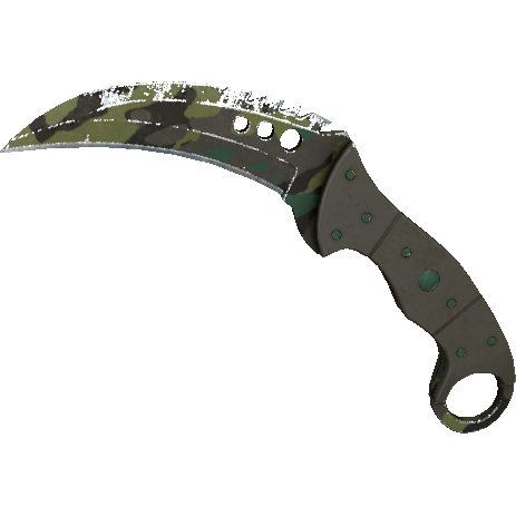 锯齿爪刀(★ StatTrak™) | 北方森林 (破损不堪)