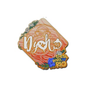 印花 | Dycha | 2022年里约热内卢锦标赛