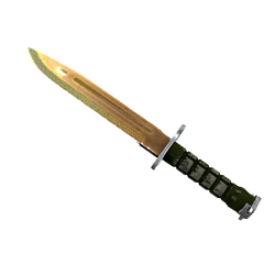 刺刀(★ StatTrak™) | 传说 (破损不堪)