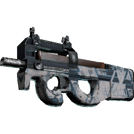 P90 | 解视图 (破损不堪)