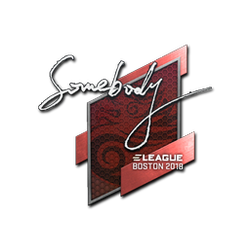印花 | somebody | 2018年波士顿锦标赛