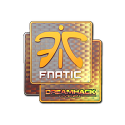 印花 | Fnatic(全息)| 2014年 DreamHack 锦标赛