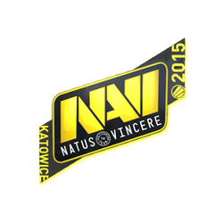 印花 | Natus Vincere | 2015年卡托维兹锦标赛