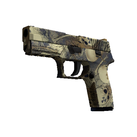 P250（纪念品） | 核子污染 (略有磨损)