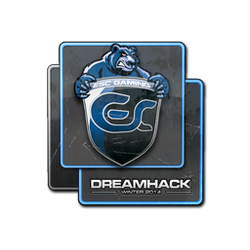 印花 | ESC Gaming | 2014年 DreamHack 锦标赛