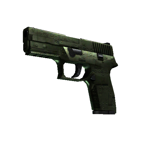 P250(StatTrak™) | 铠甲 (略有磨损)