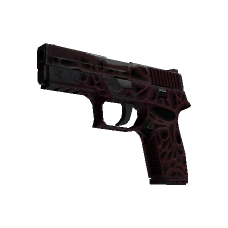 P250 | 污染物