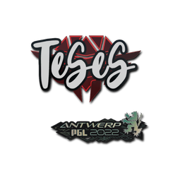 印花 | TeSeS | 2022年安特卫普锦标赛