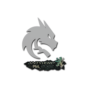 印花 | Team Spirit | 2022年安特卫普锦标赛