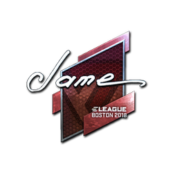 印花 | Jame(闪亮)| 2018年波士顿锦标赛