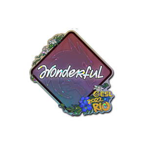 印花 | w0nderful(闪耀)| 2022年里约热内卢锦标赛