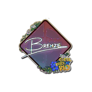 印花 | Brehze(闪耀)| 2022年里约热内卢锦标赛