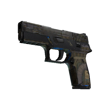 P250 | 交换机 (战痕累累)