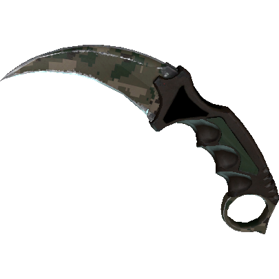 爪子刀(★ StatTrak™) | 森林 DDPAT (久经沙场)