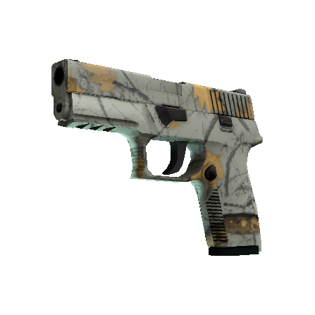 P250 | 现代猎手