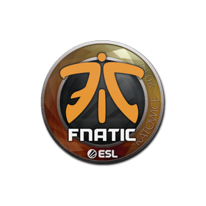 印花 | Fnatic | 2019年卡托维兹锦标赛