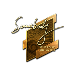 印花 | somebody(金色)| 2018年波士顿锦标赛