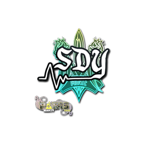 印花 | sdy | 2023年巴黎锦标赛