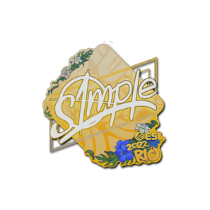 印花 | s1mple | 2022年里约热内卢锦标赛