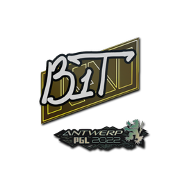 印花 | b1t | 2022年安特卫普锦标赛