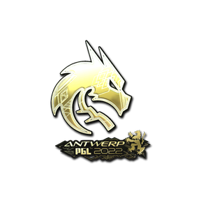 印花 | Team Spirit(金色)| 2022年安特卫普锦标赛