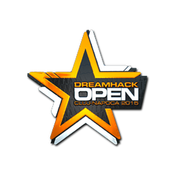 印花 | DreamHack(闪亮)| 2015年克卢日-纳波卡锦标赛