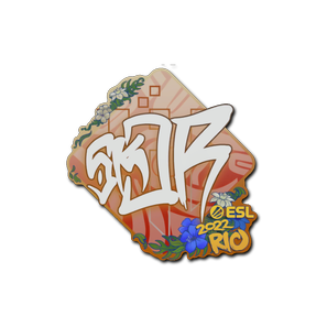 印花 | sk0R | 2022年里约热内卢锦标赛