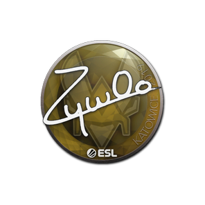 印花 | ZywOo | 2019年卡托维兹锦标赛