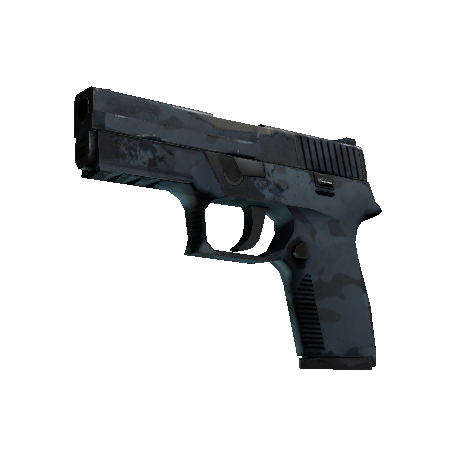 P250 | 暮色森林 (久经沙场)