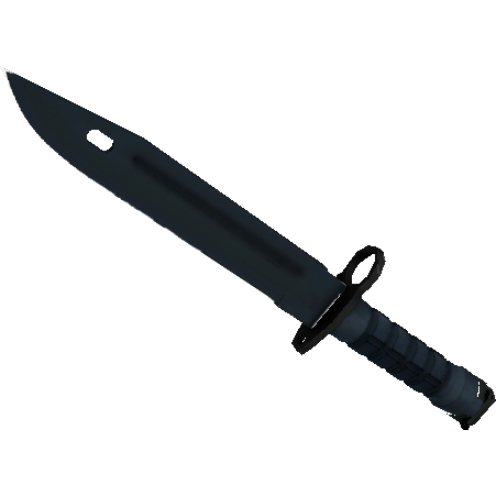 刺刀(★ StatTrak™) | 噩梦之夜 (略有磨损)