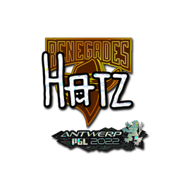 印花 | hatz(闪耀) | 2022年安特卫普锦标赛