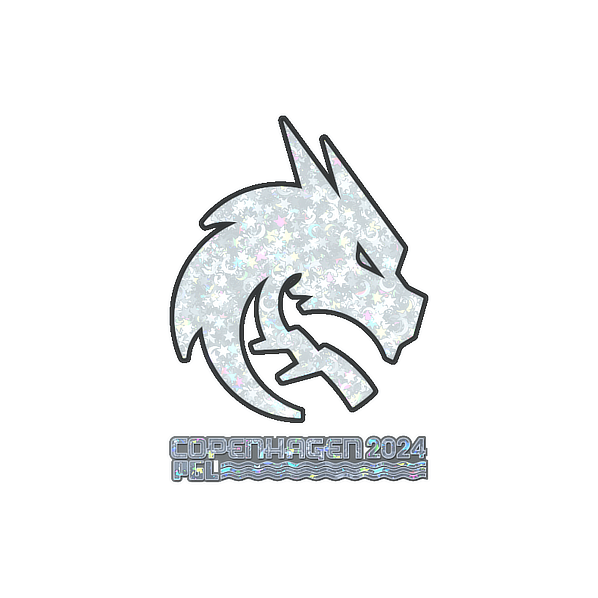 印花 | Team Spirit(闪耀)| 2024年哥本哈根锦标赛