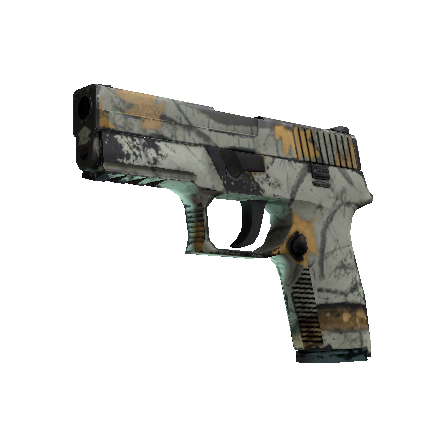 P250 | 现代猎手 (破损不堪)
