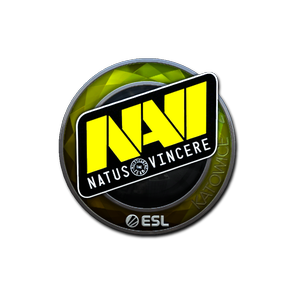 印花 | Natus Vincere(闪亮)| 2019年卡托维兹锦标赛