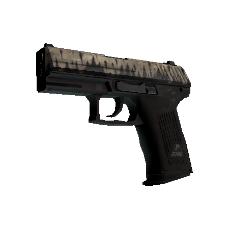 P2000(StatTrak™) | 升天 (破损不堪)