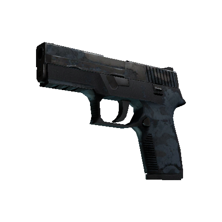 P250 | 暮色森林 (战痕累累)