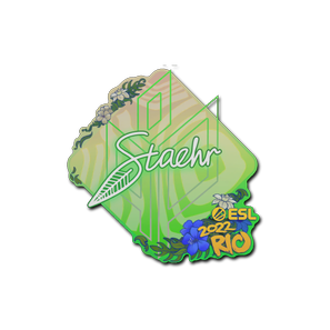 印花 | Staehr | 2022年里约热内卢锦标赛