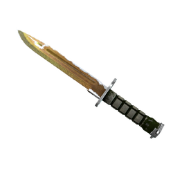 刺刀(★ StatTrak™) | 传说 (战痕累累)