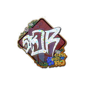 印花 | sk0R(闪耀)| 2022年里约热内卢锦标赛