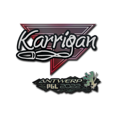 印花 | karrigan | 2022年安特卫普锦标赛