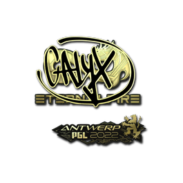 印花 | Calyx(金色) | 2022年安特卫普锦标赛