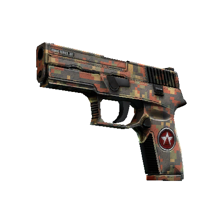 P250(StatTrak™) | 红岩 (久经沙场)