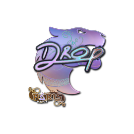 印花 | drop(全息)| 2023年巴黎锦标赛