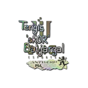 印花 | sk0R(全息) | 2022年安特卫普锦标赛