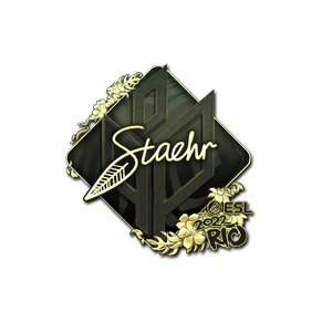 印花 | Staehr(金色)| 2022年里约热内卢锦标赛
