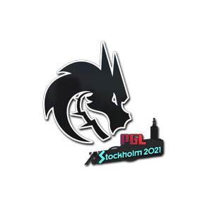 印花 | Team Spirit | 2021年斯德哥尔摩锦标赛