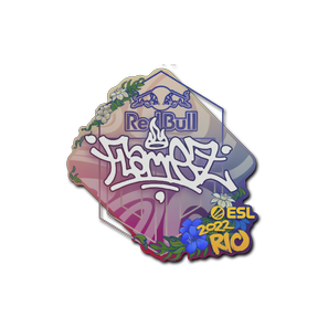 印花 | FlameZ | 2022年里约热内卢锦标赛