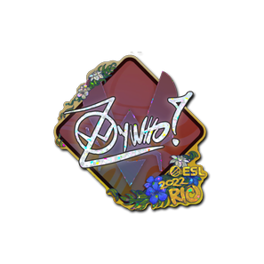 印花 | ZywOo(闪耀)| 2022年里约热内卢锦标赛